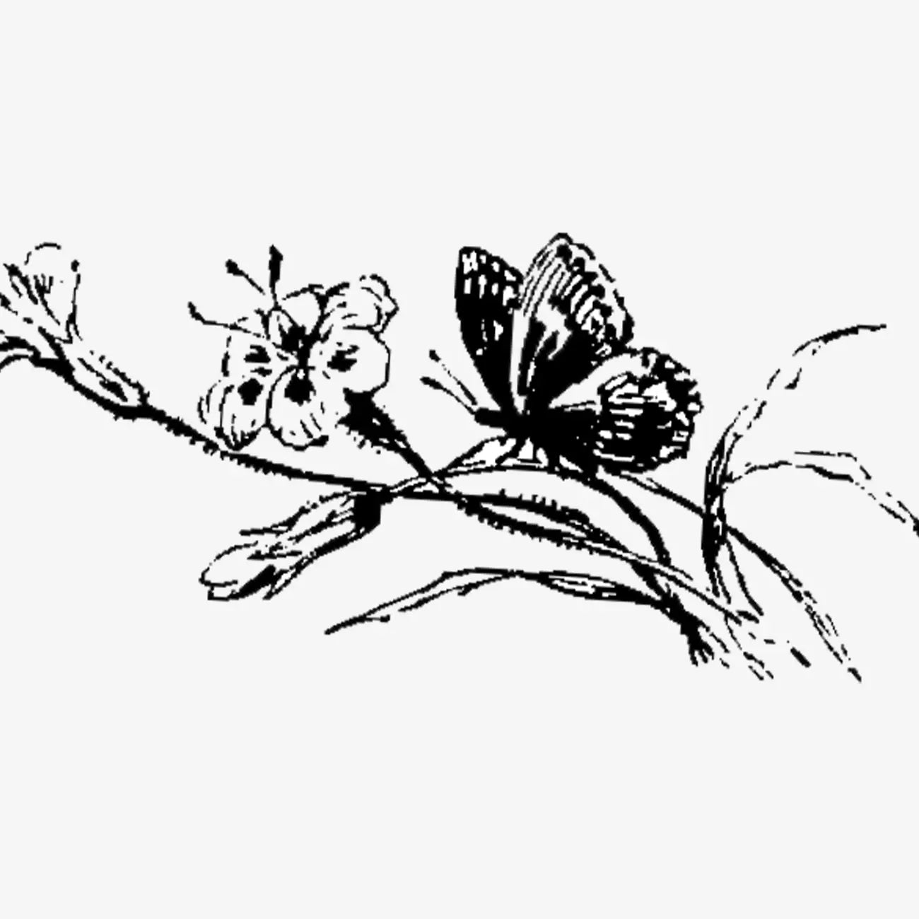 The iCocoon is designed to engage more than just your muscles. Its integrated sensory features create a calming atmosphere that enhances every massage session.